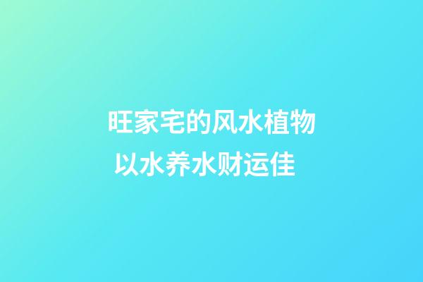 旺家宅的风水植物 以水养水财运佳